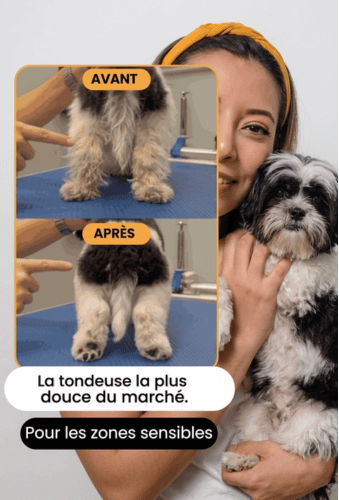 Anteprima del video tosatrice silenziosa per cani