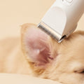 Approvata dai Veterinari