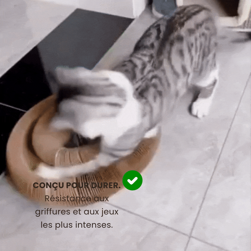 Il Tiragraffi Gattone