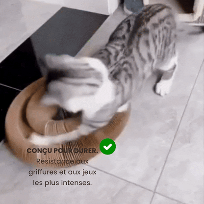 Il Tiragraffi Gattone