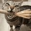 Avatar chat 1