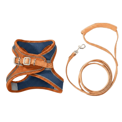 Pettorina Anti-Fuga & Guinzaglio — Per Gatto d'Interno e Avventuriero — Standard / Blu | Arancione