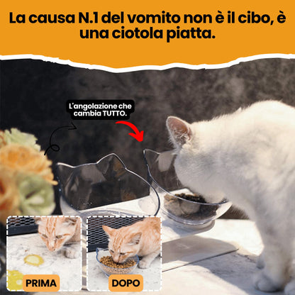 Royal Matou: basta vomito dopo i pasti.