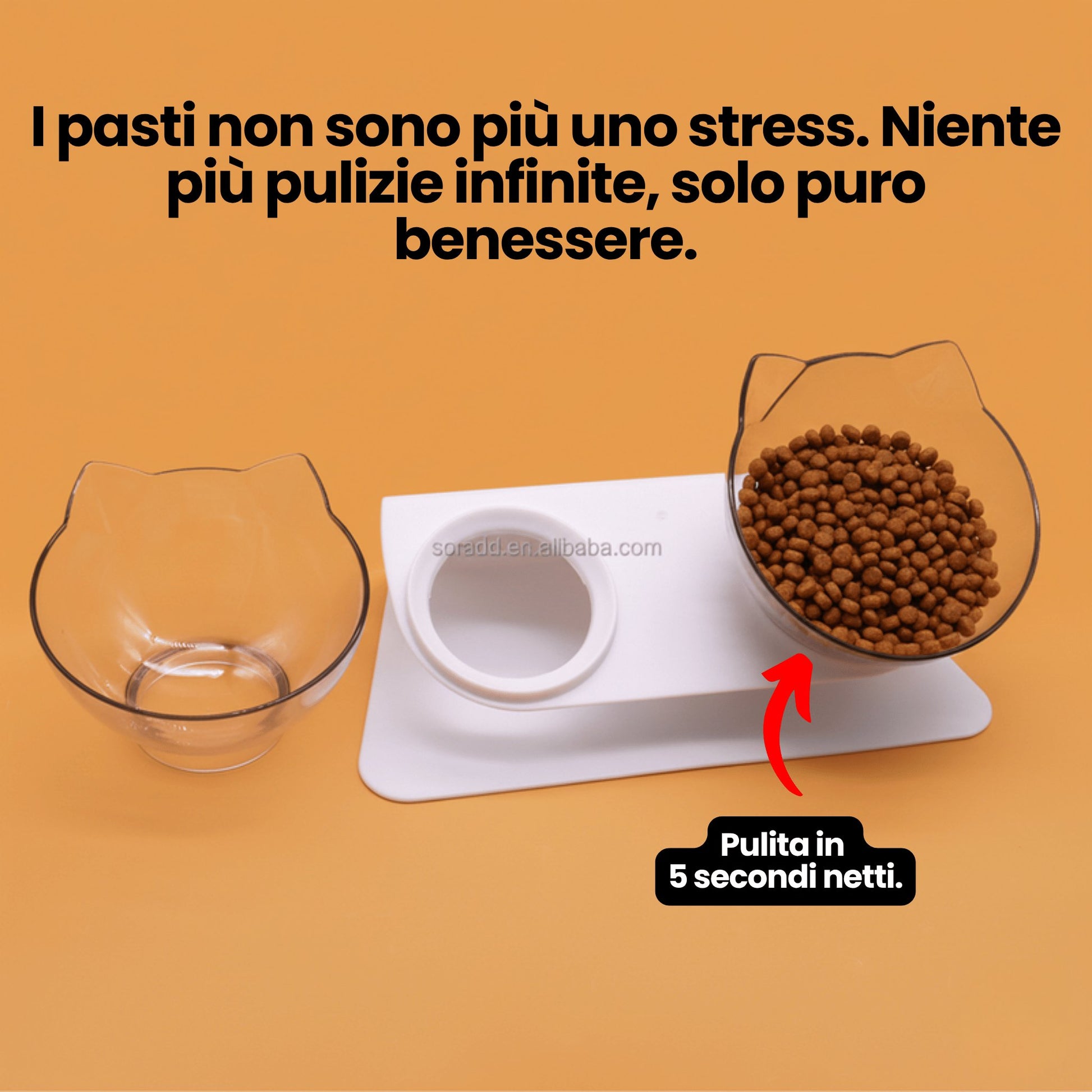 Royal Matou: basta vomito dopo i pasti.