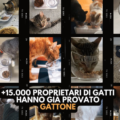 Royal Matou: basta vomito dopo i pasti.
