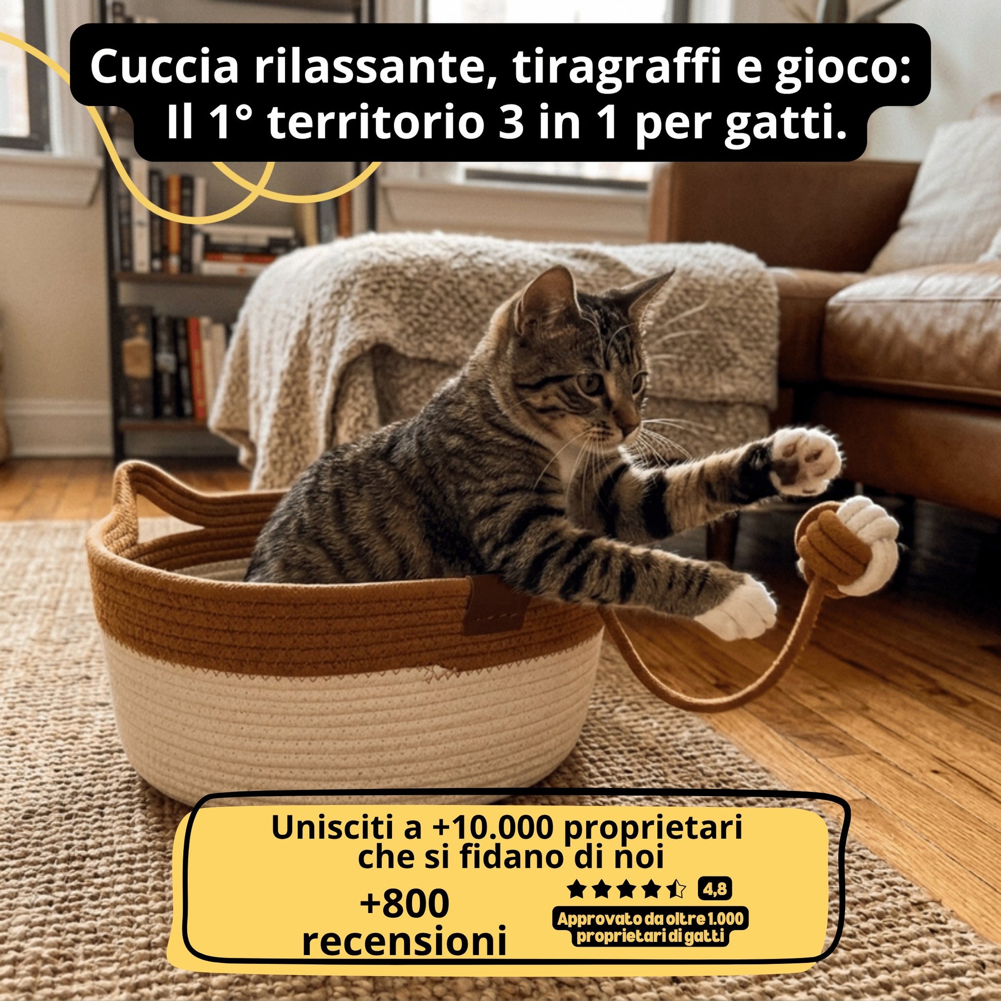 La Cuccia del Gattone: letto rilassante e tiragraffi naturale