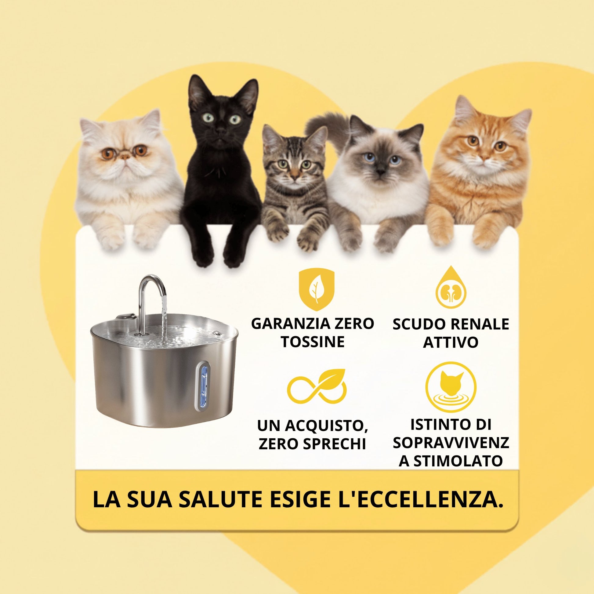 Fontanella inox Gattone: acqua fresca e sana 24 ore su 24