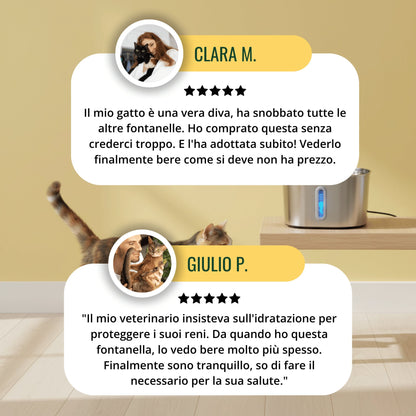 Fontanella inox Gattone: acqua fresca e sana 24 ore su 24