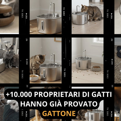 Fontanella inox Gattone: acqua fresca e sana 24 ore su 24