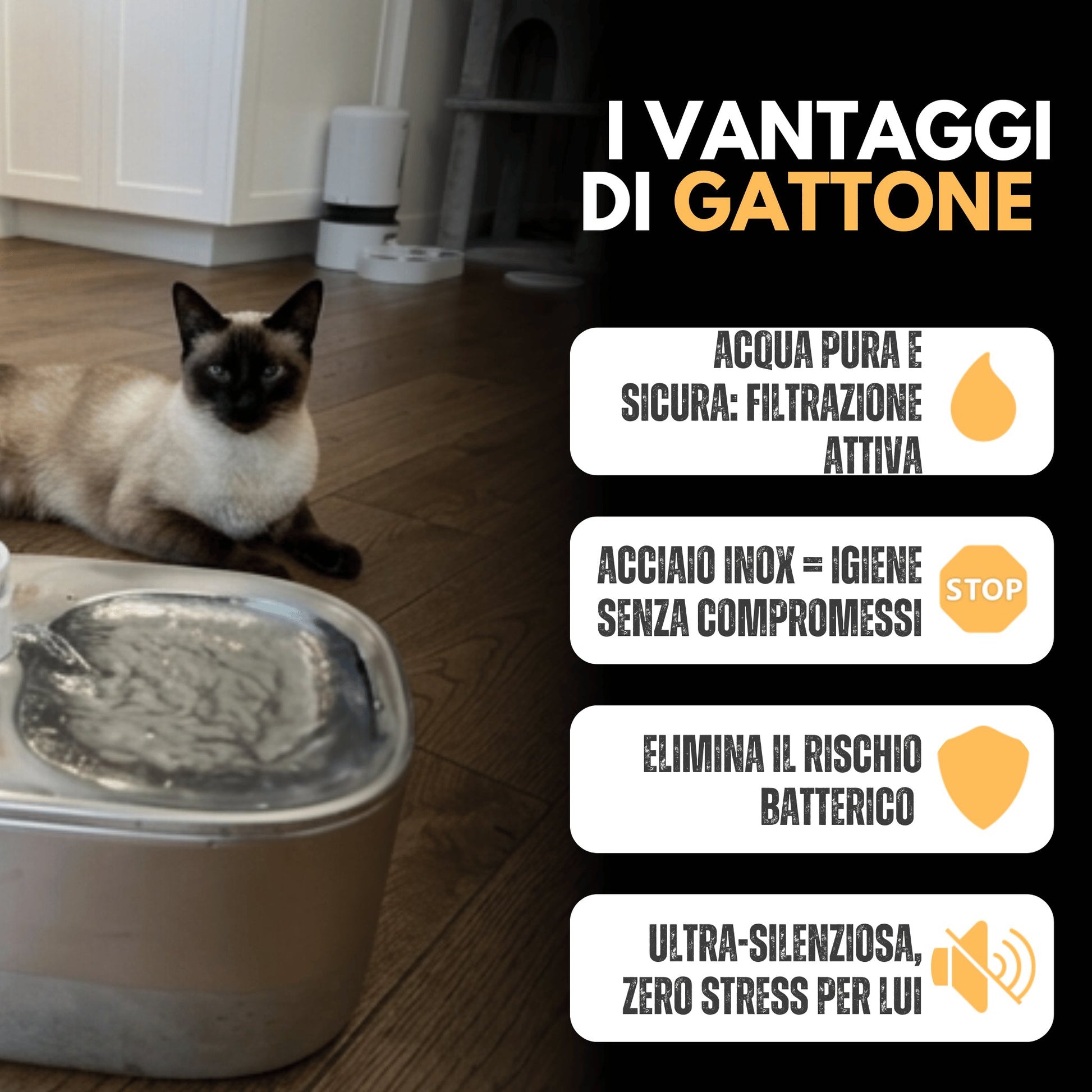 Fontanella senza fili 4 L in acciaio inox premium
