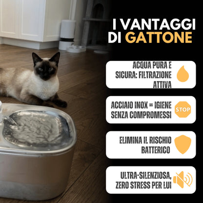 Fontanella senza fili 4 L in acciaio inox premium
