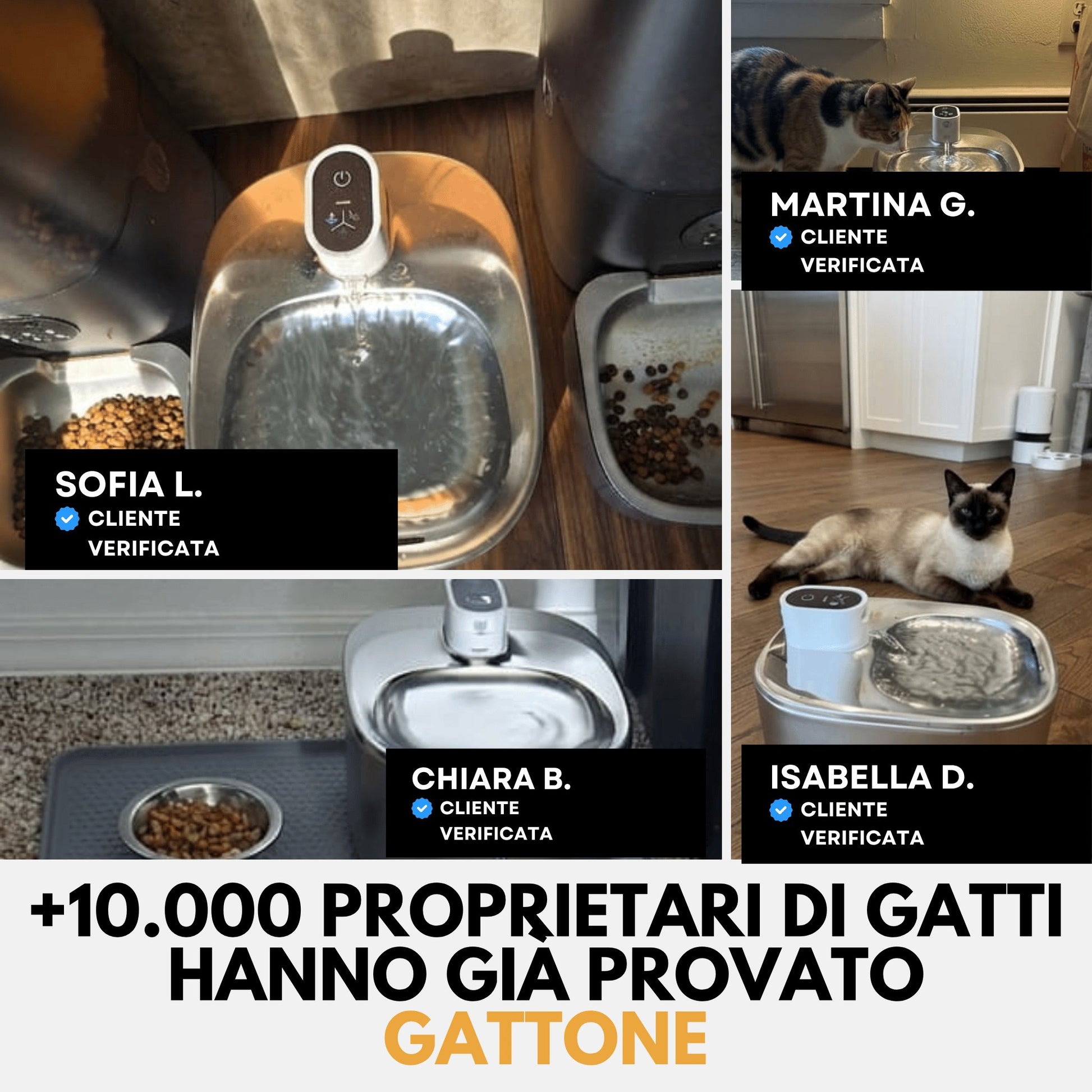 Fontanella senza fili 4 L in acciaio inox premium