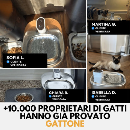 Fontanella senza fili 4 L in acciaio inox premium