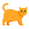 Icon image