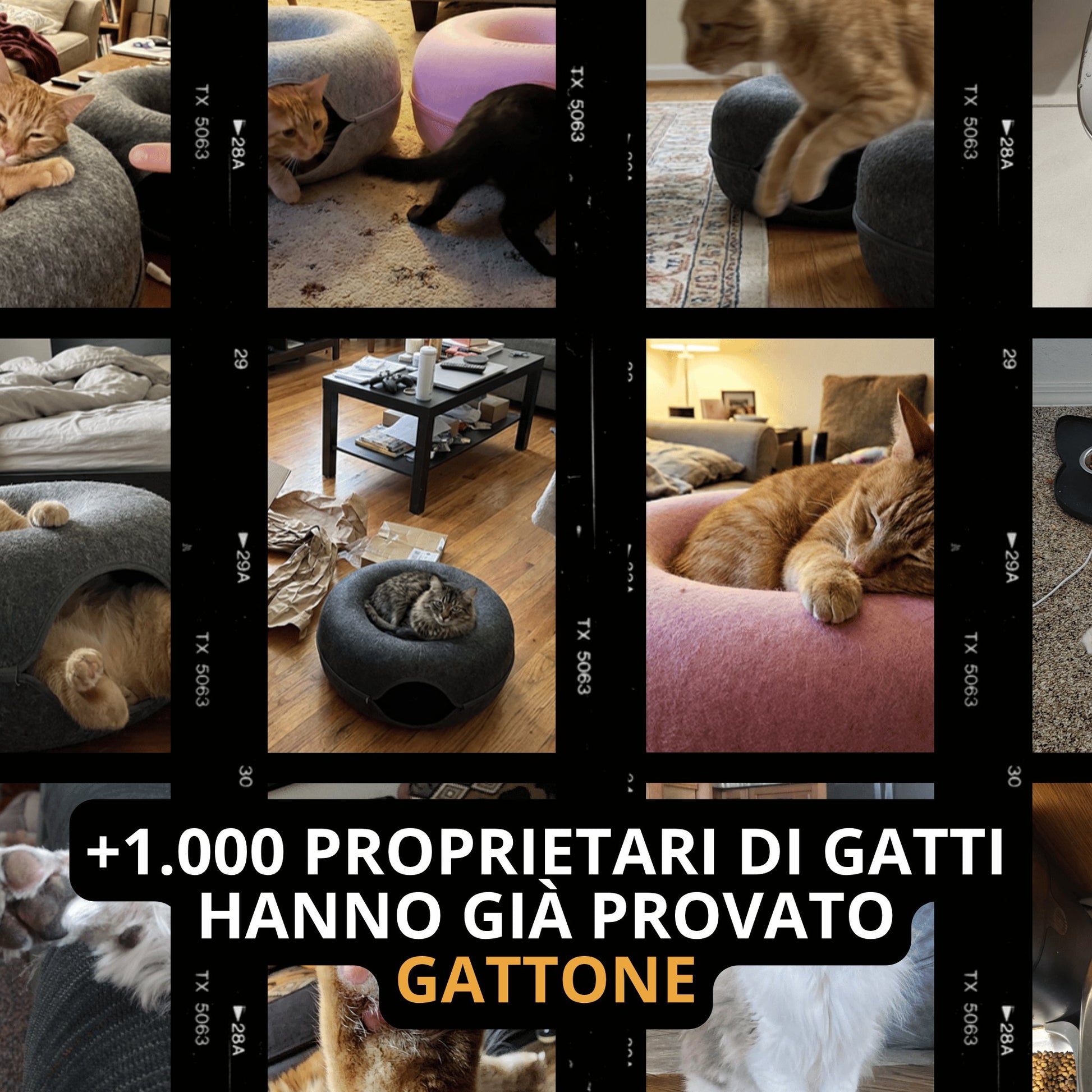 La Grotta del Gattone: cuccia, tunnel e tiragraffi tutto in uno