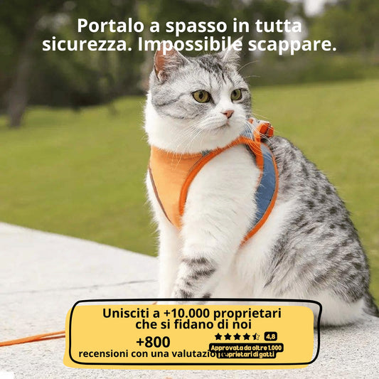 Pettorina antifuga e guinzaglio - Per gatto d'interno e avventuriero