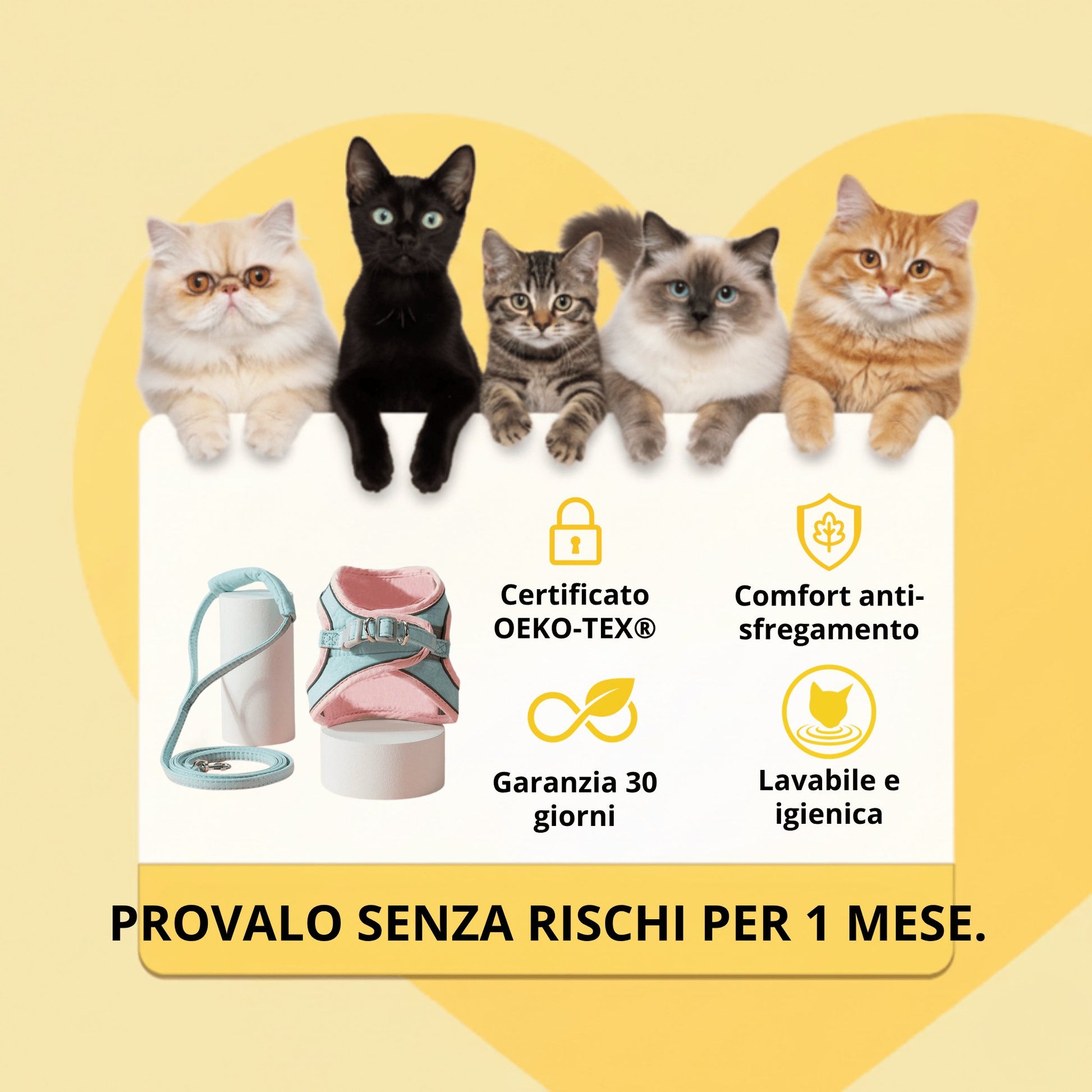 Pettorina antifuga e guinzaglio - Per gatto d'interno e avventuriero