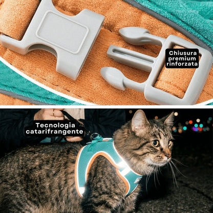 Pettorina antifuga e guinzaglio - Per gatto d'interno e avventuriero