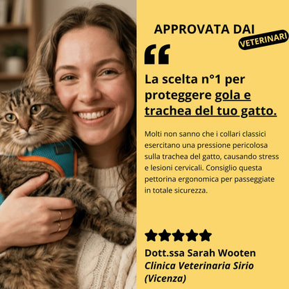Pettorina antifuga e guinzaglio - Per gatto d'interno e avventuriero