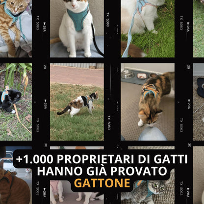 Pettorina antifuga e guinzaglio - Per gatto d'interno e avventuriero