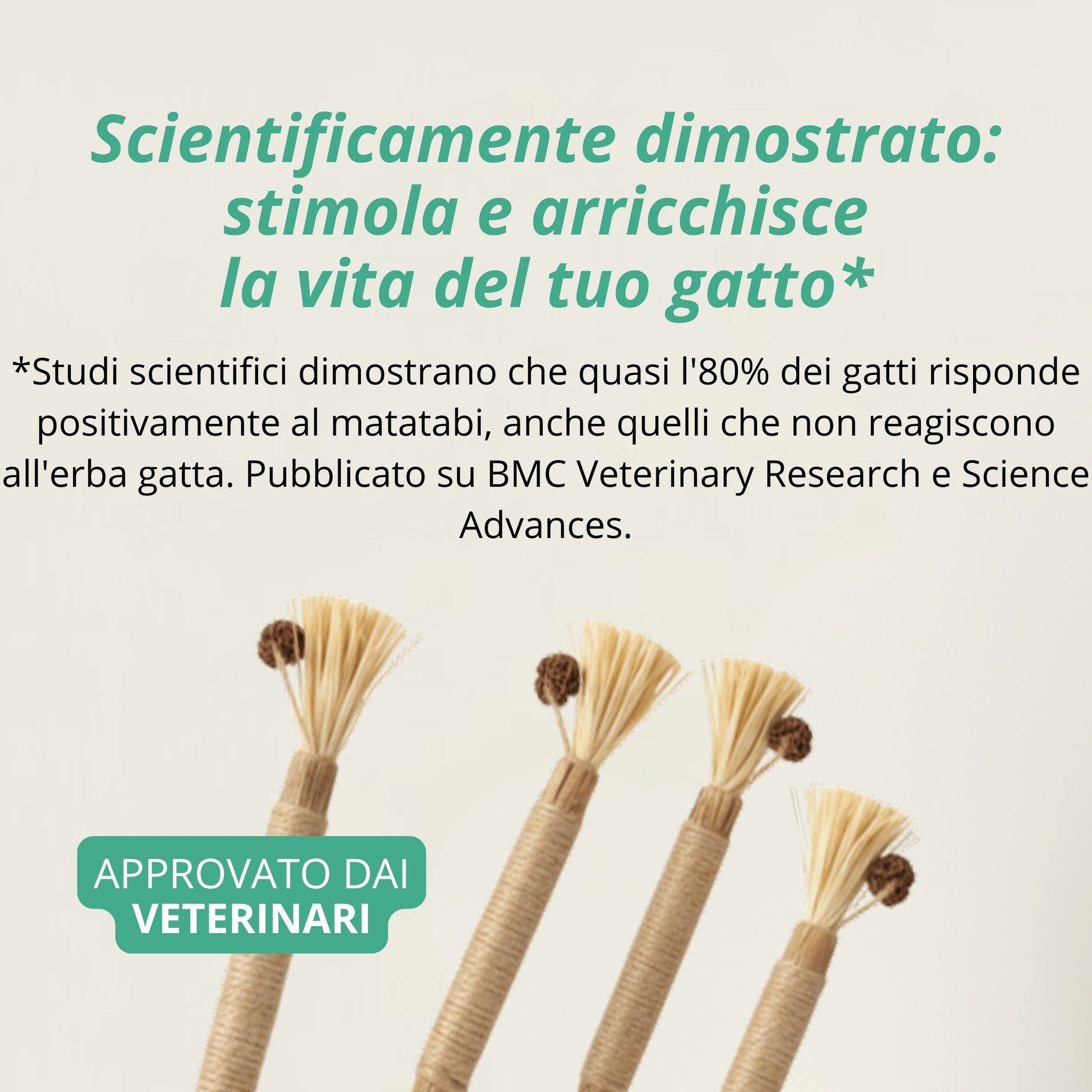 Stick Gattone: la cura dentale 100% naturale per il tuo gatto