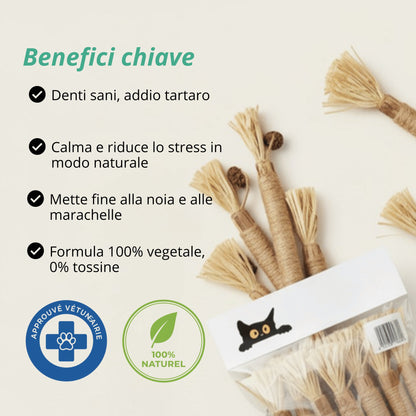 Stick Gattone: la cura dentale 100% naturale per il tuo gatto