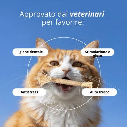 Stick Gattone: la cura dentale 100% naturale per il tuo gatto