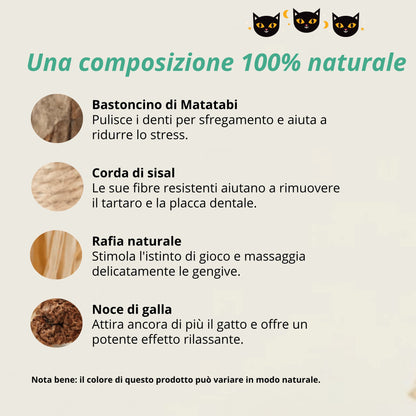 Stick Gattone: la cura dentale 100% naturale per il tuo gatto