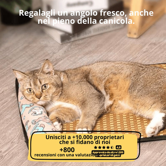 Tappetino rinfrescante per gatto - Comfort estivo senza gel e antiscivolo