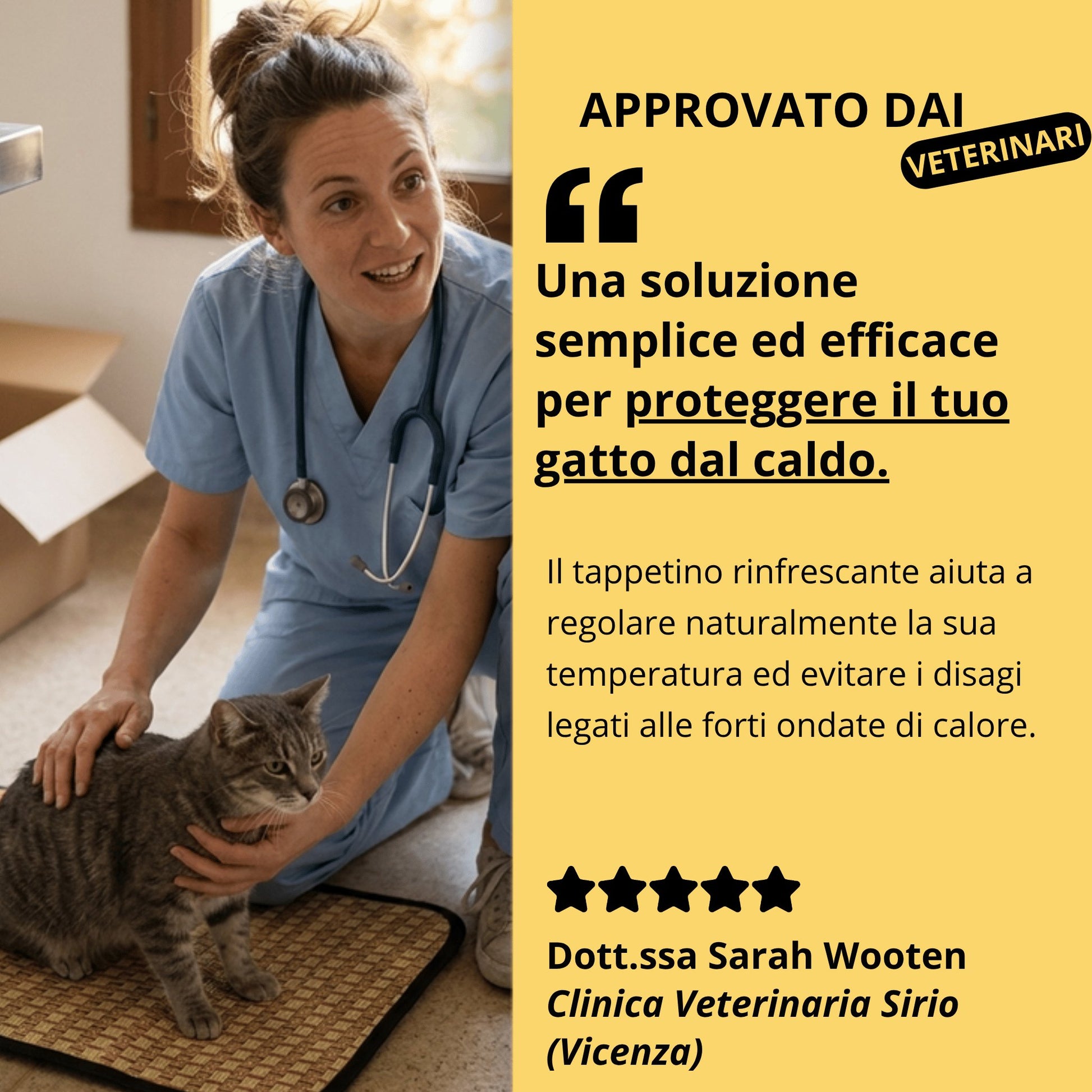 Tappetino rinfrescante per gatto - Comfort estivo senza gel e antiscivolo