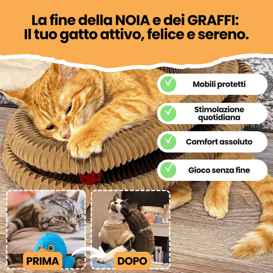 Il Tiragraffi Gattone