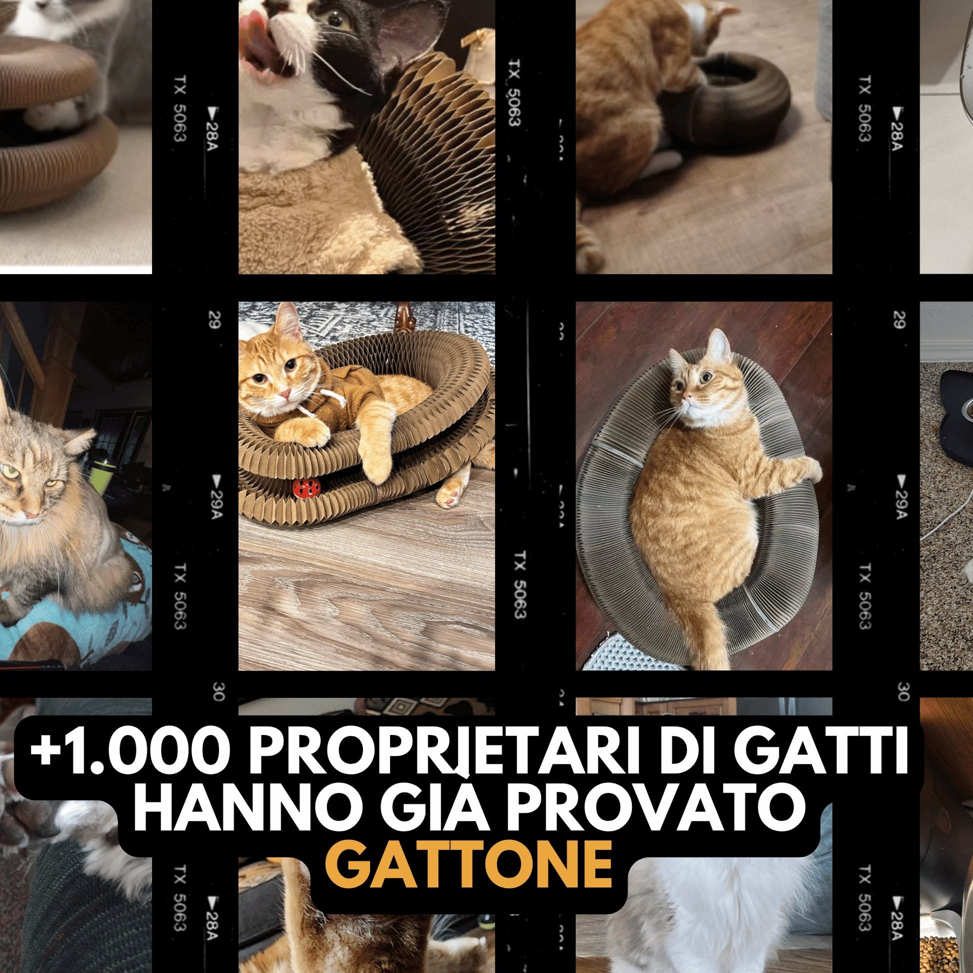 Il Tiragraffi Gattone