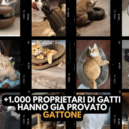 Il Tiragraffi Gattone
