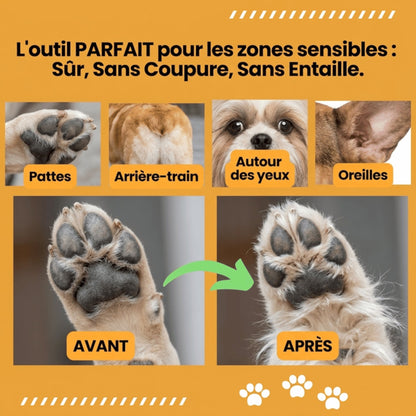 Tosatrice silenziosa senza fili per cani Gattone