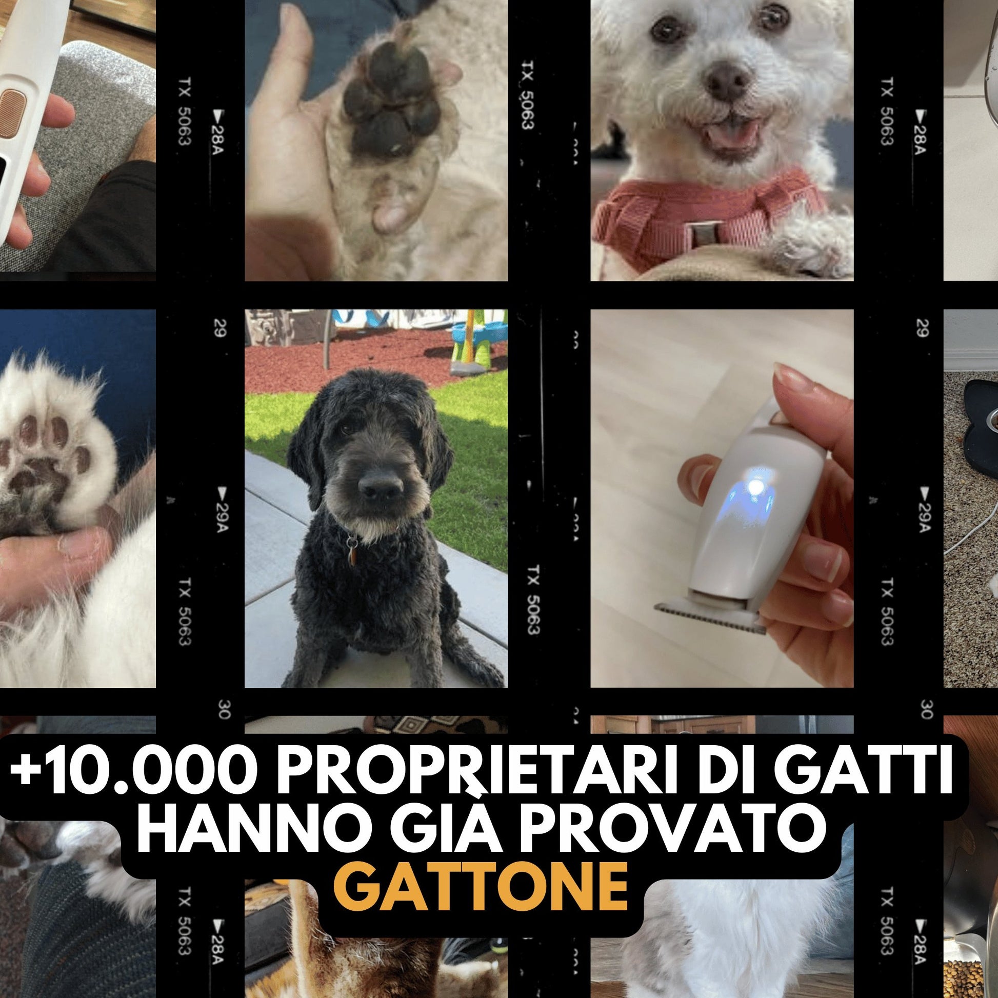 Tosatrice silenziosa senza fili per cani Gattone