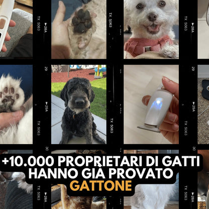 Tosatrice silenziosa senza fili per cani Gattone